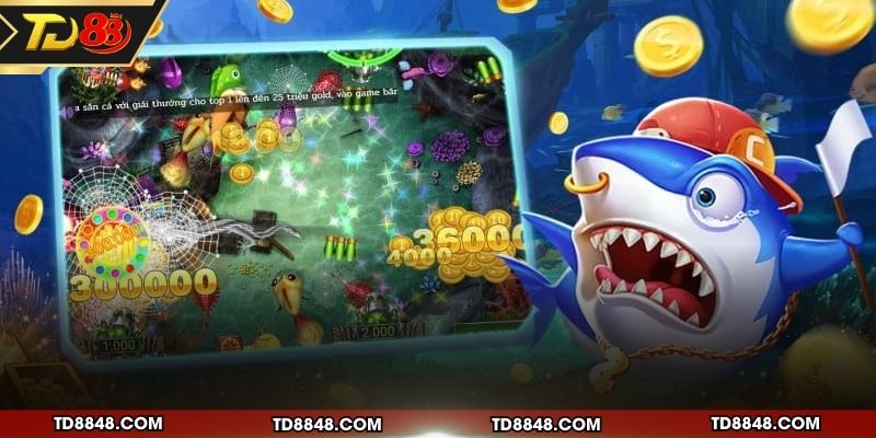 Các ưu điểm nổi bật của sảnh săn cá