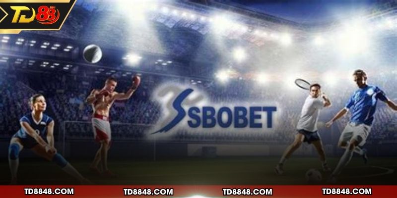 Lý do nên chọn sảnh cược này ngay