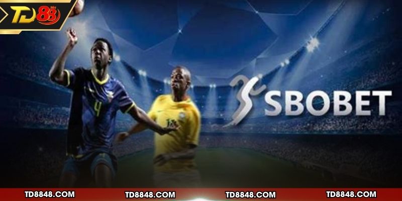 Những bộ môn thể thao được yêu thích hiện nay