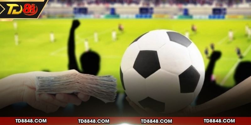 Những đặc điểm nhận biết các loại kèo rung